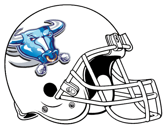 Buffalo Bulls 1997 Helmet Logo diy DTF decal sticker